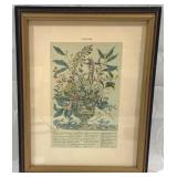 Framed "January" from Twelve Months of Flowers