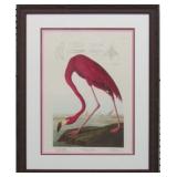 AMERICAN FLAMINGO BY JOHN J AUDUBON