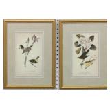 SET OF 2 ANTIQUE BIRDS BY JOHN J AUDUBON