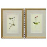 SET OF 2 ANTIQUE BIRDS BY JOHN J AUDUBON