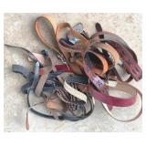Lot of Assorted Belts