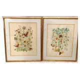 2 Framed Prints - 25" x 32"