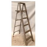 Aluminum Ladder - 69" x 22"