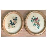 Pair Oval Bird Pictures 14 x 12