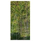 Metal Tomato Cages 39"