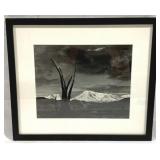 Framed Print - 16" x 18.5