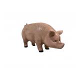 Cast Iron Pig Bank 4 x 8