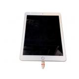 Apple Ipad (locked/no password) w/ charger
