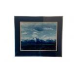 Framed Print - 16 x 18