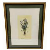 Framed Print - 15 1/4 x 19 1/4