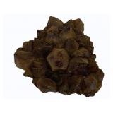 Raw Amhurst Cluster - 8 x 7