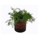 Planter w/ Faux Greenery 12 x 6