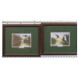 Wood Ducks/ Black Ducks by John J. Audubon