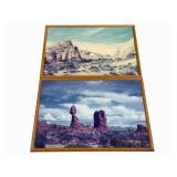 2 Framed Prints - 31 x 21