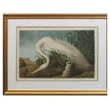White Heron Signed Limited Edition Print