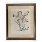 Framed Print 16 x 13