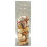 Glass Jar w/ Seashells - 12.5"