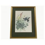 Framed Print - Signed - #1039/3000 - 18 x 23