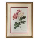 Framed Print 17 x 13