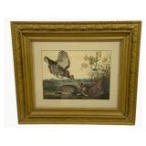 Framed Print - 27.5 x 24