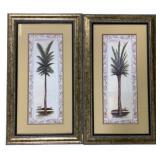Pair of Palm Tree Prints 28 x 16