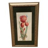 Framed Watercolor - Signed - 13.5 x 23