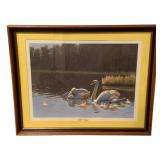 Framed Print "Mute Swans" - Signed - 31 x 25