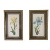2 Watercolor Framed Pictures - Signed - 11 x 17.5
