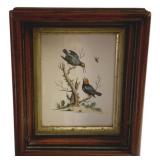 Framed Print - 6 x 7