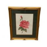 Framed Watercolor - Signed - 16 x 20.5