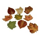 Ceramic Autumn Leaf Shaped Dishes Set of 9