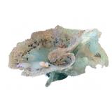 Seashell Vase - 7 x 16 x 13