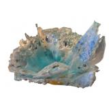 Seashell Bowl - 7 x 14 x 13