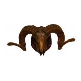 Ram Skull & Horns on Mount - 10 x 20 x 7
