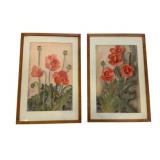Pair Poppy Watercolors 17"x11"