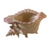 Ceramic Seashell Decor - 7 x12 x 8