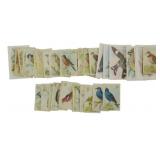 Assorted Useful Birds of America Cards