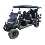 2025 Venom-EV 6 Seated Strike LSV