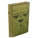 1903 Edition Wings and Stings