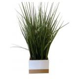 Artificial Plant in Planter - 36 x 10