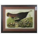 Hen and Young by John J Audubon