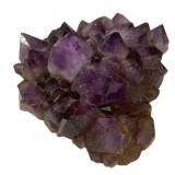 Raw Amethyst Cluster - 8 x 7
