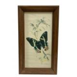 Framed Print - 18.5 x 11