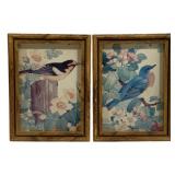 2 Framed Bird Prints - 6 x 8