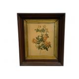 Framed Print - 14.5 x 12.5