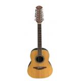 Applause 12 String Acoustic/Electric Guitar