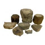 Shark/Whale Vertebrate Pieces