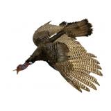 Taxidermy Turkey on Branch - 46 x 52 x 42