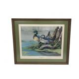 "Backwater Woodies" Framed Print - SIgned