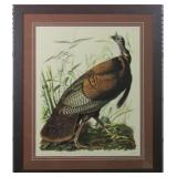 Wild Turkey by John J Audubon